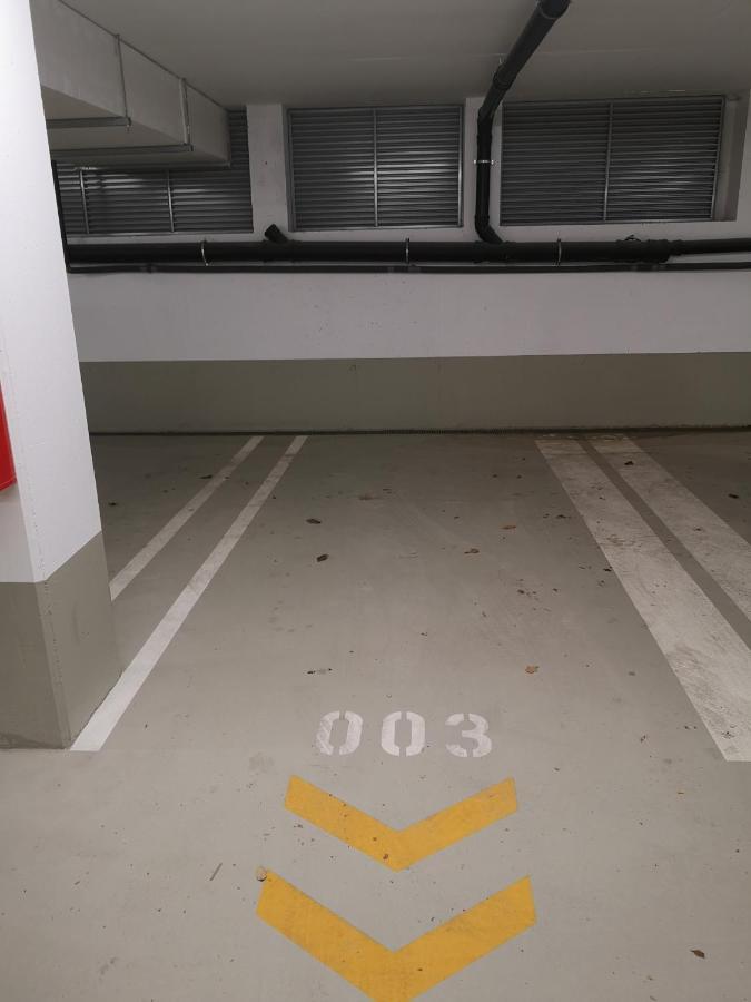 Rooftop Terrace, Free Garage Parking And Pool! Вена Экстерьер фото